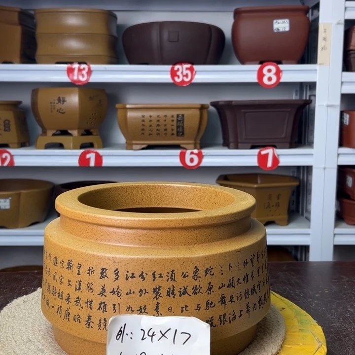 紫砂花盆我也是我