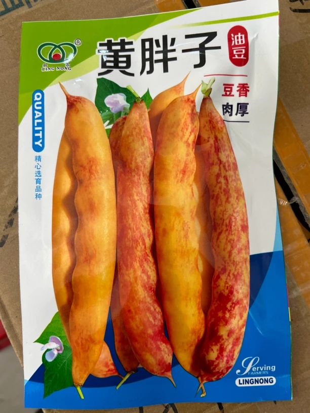 黄胖子油豆角种子