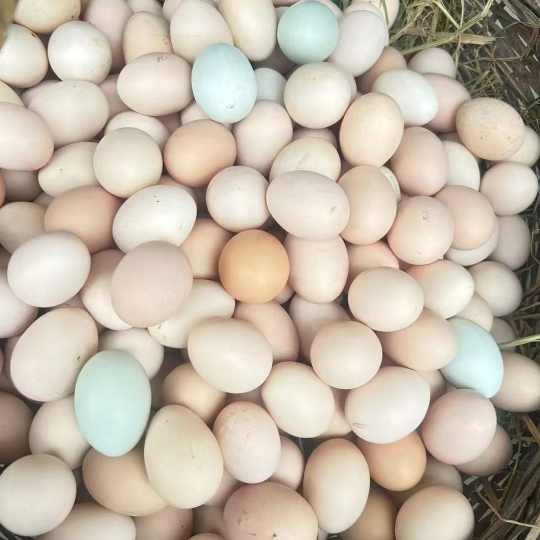 散养土鸡蛋（50枚）