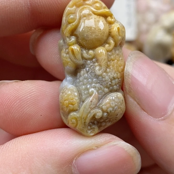 颈饰未镶嵌硅化珊瑚（珊瑚玉）小