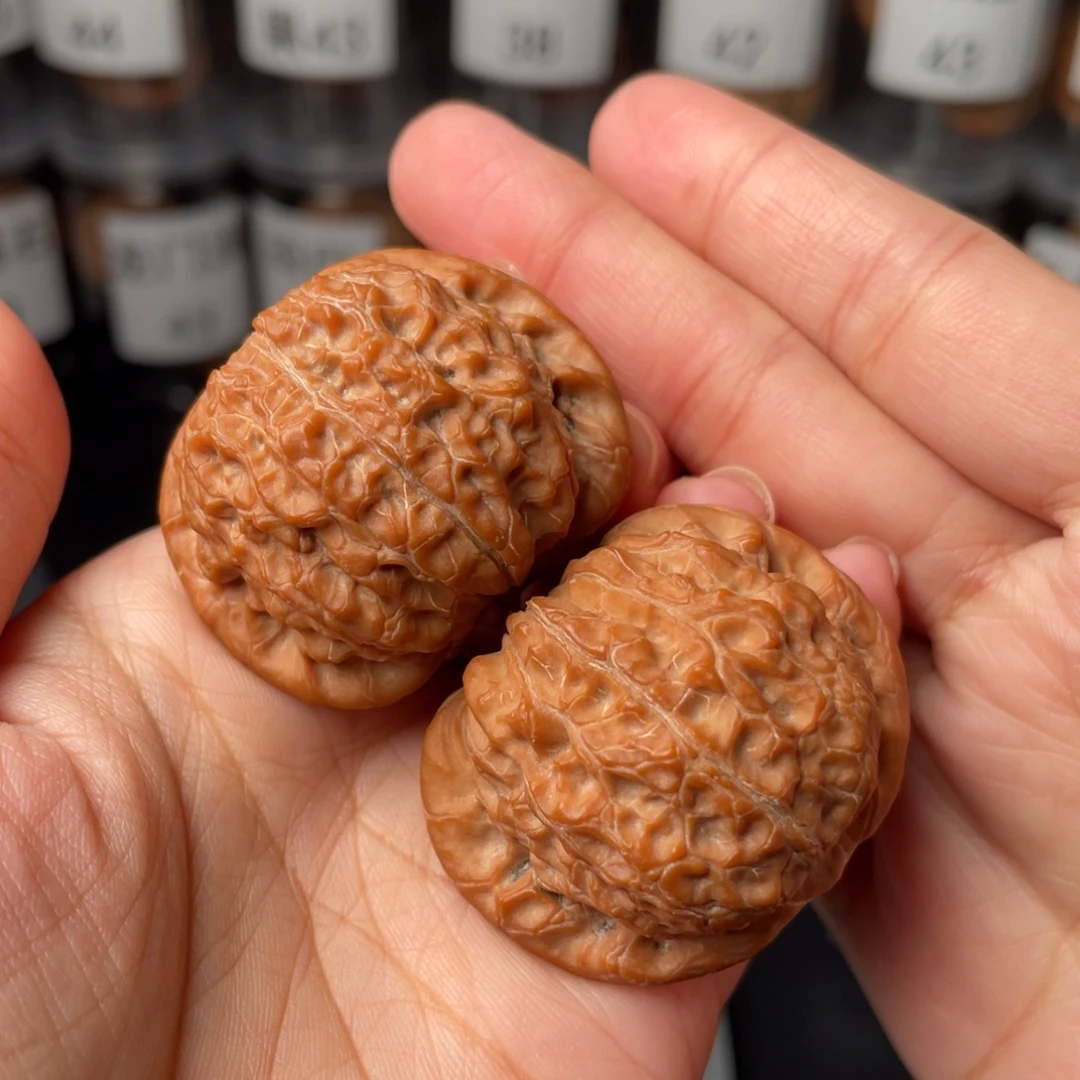 一***核全品40血麒麟40血麒麟
