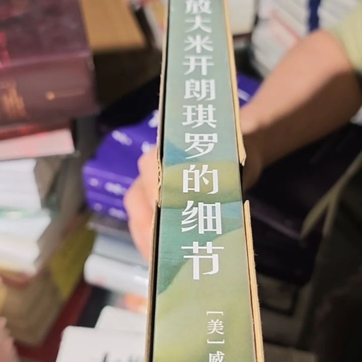 放大米开朗琪罗精装库存书