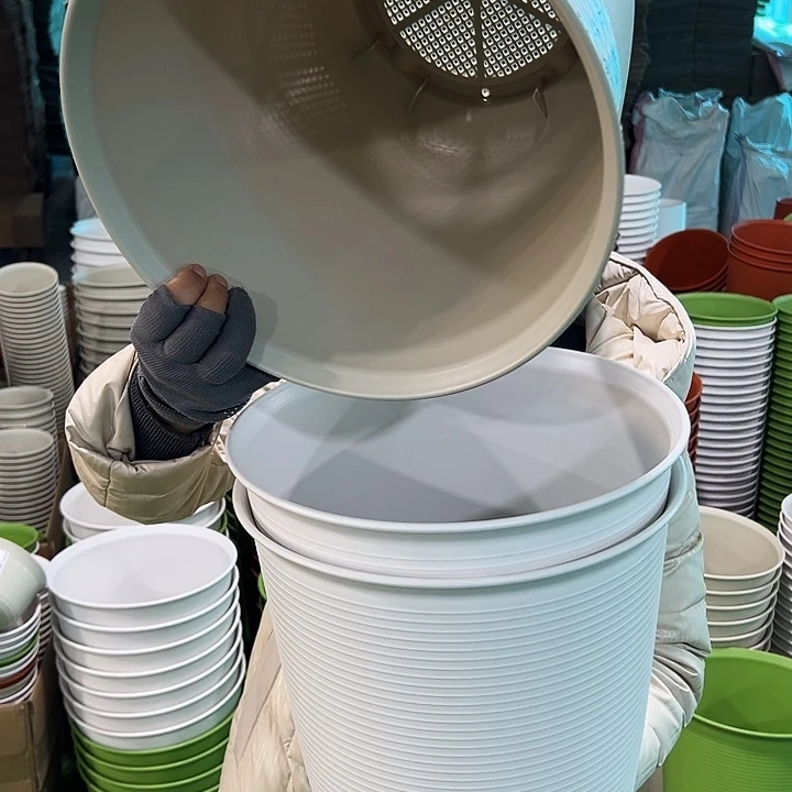 正品高陶口30高31白色无托3只