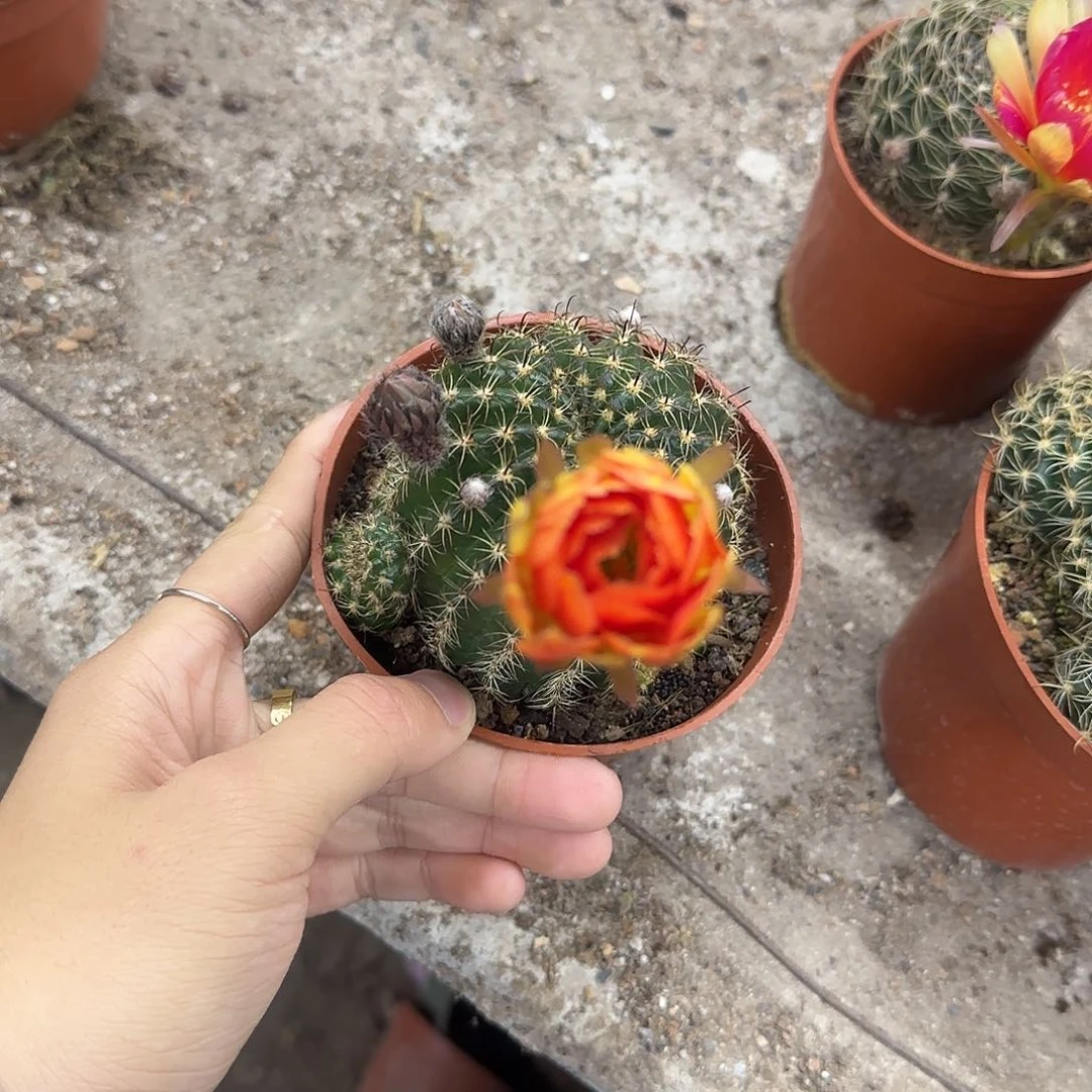 银**€花花花花花花花花花