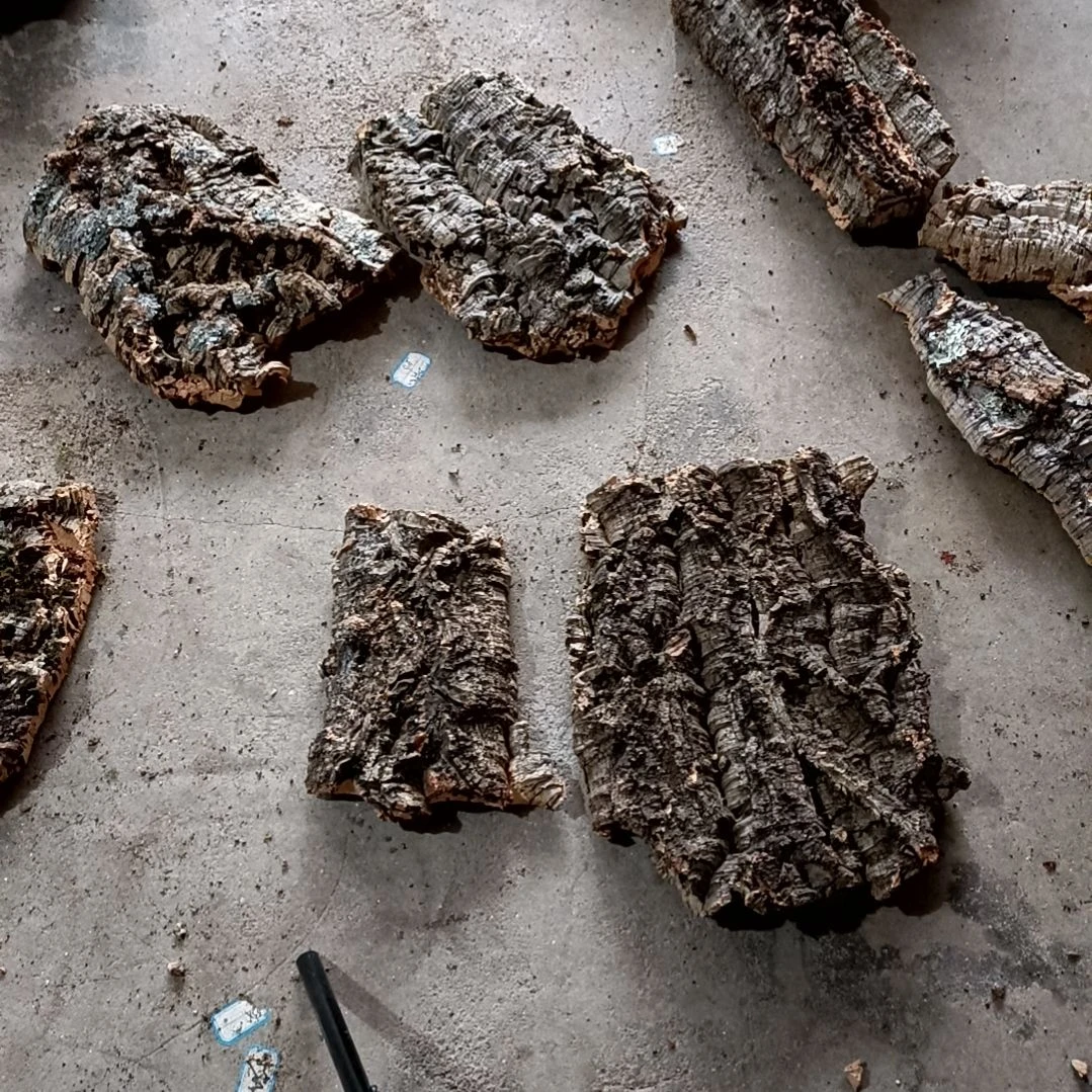 木一物一拍一物一发