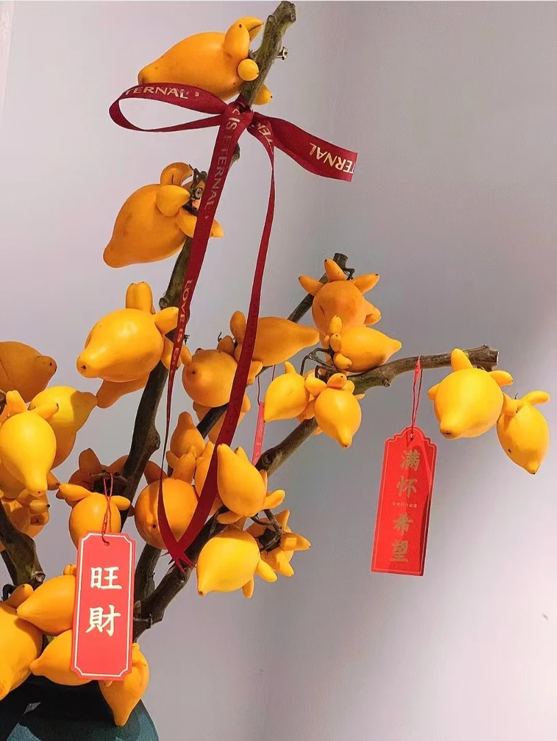 【云南基地黄金果】又名五代果 小猪佩奇果 干插干摆干放