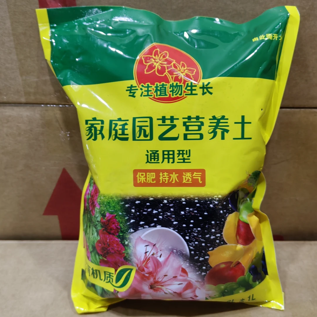 老黑家 【兰花专用树皮】大花惠兰 年宵花 春节盆栽秋冬季好养活