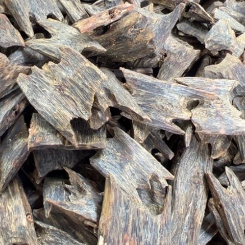 沉香摆件乌身一代苗20克多样性发1份