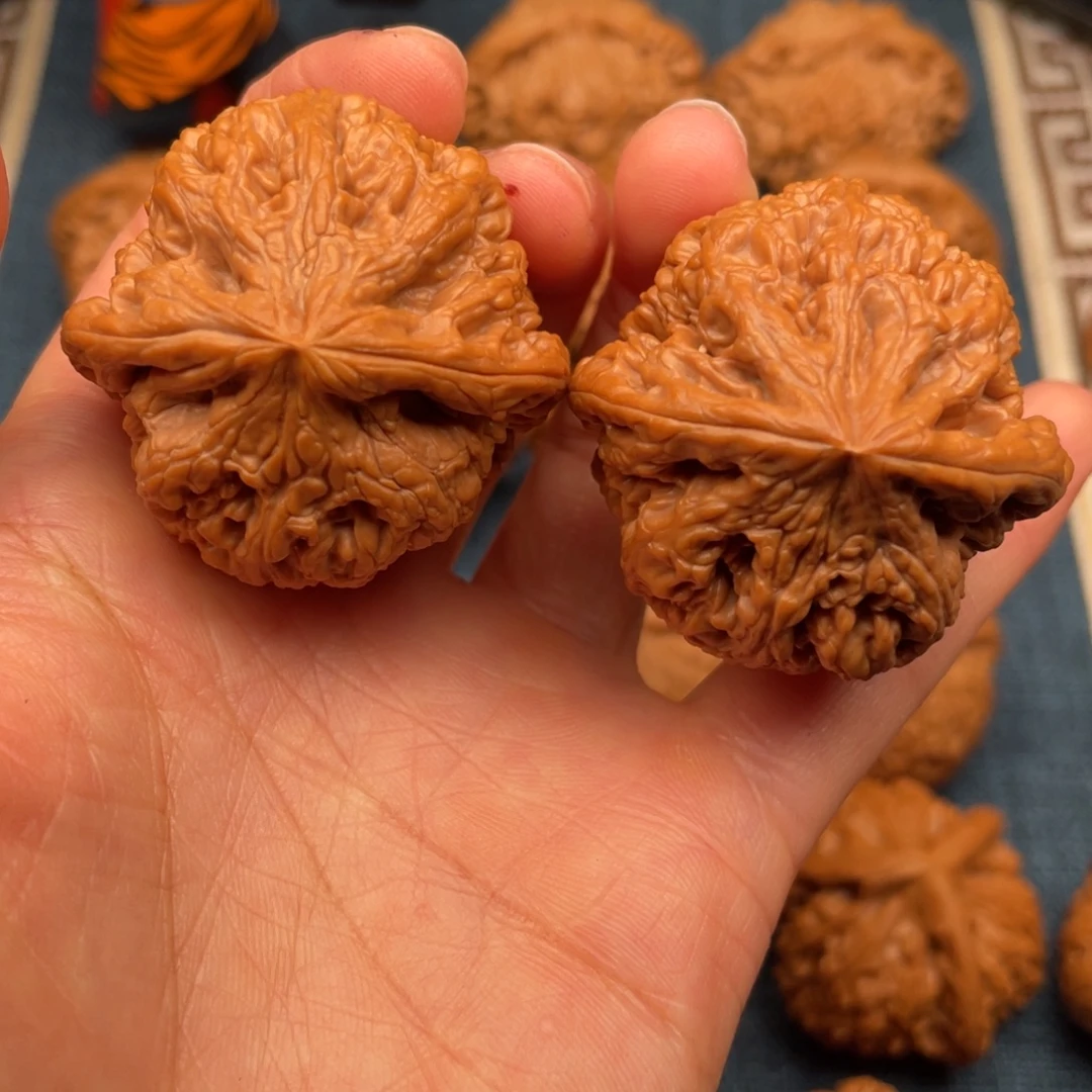 把件文玩核桃41全品毕业粗筋