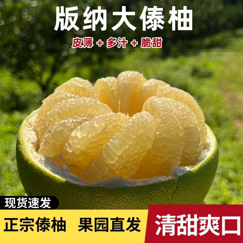 西双版纳傣柚青柚东试早新鲜采摘产地直发果肉脆嫩爽口孕妈妈水果