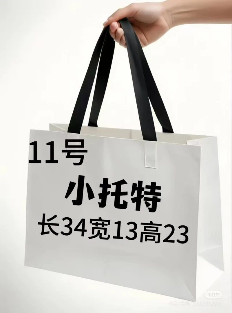 Y 011 高档时尚小托特包  8108