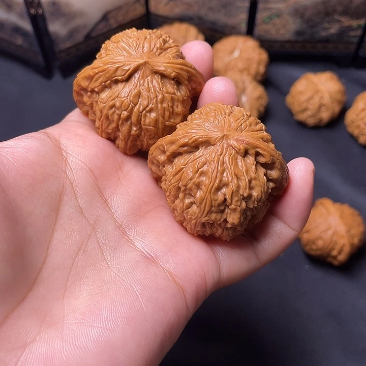 核桃45尺白狮子。