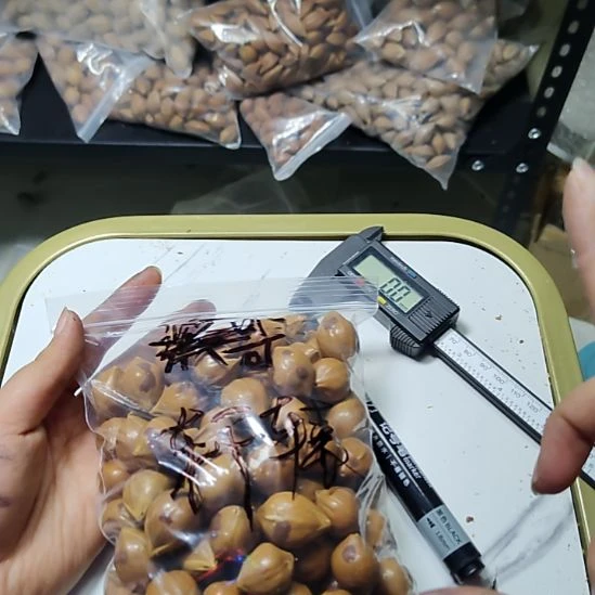 轩***辕吊坠橄榄核蒜头散籽