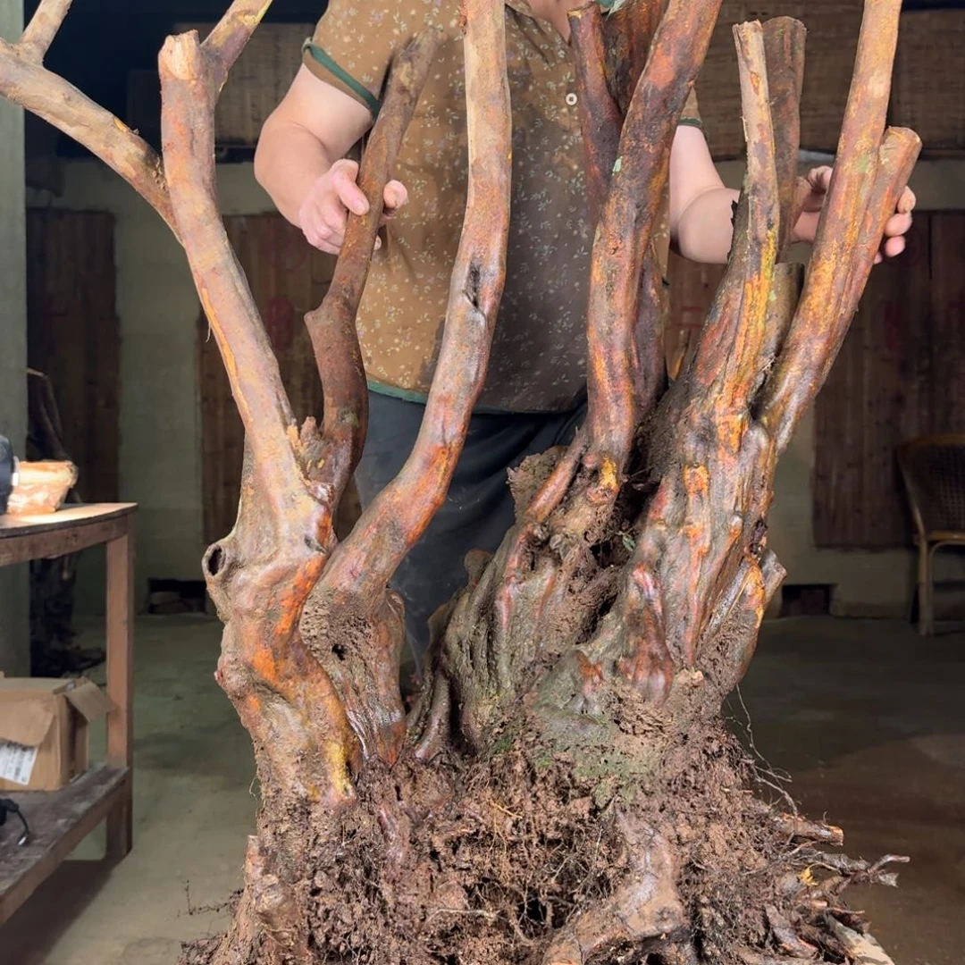 军***歌111111111111111111