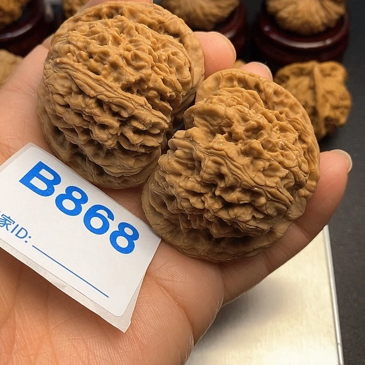 核桃南疆4.8，0000