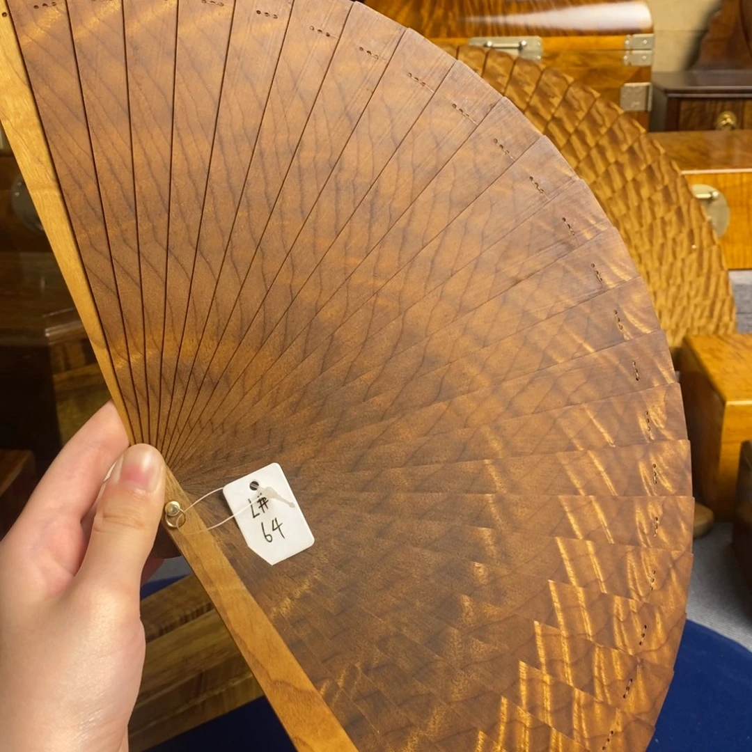 金丝楠小叶桢楠L64，20cm