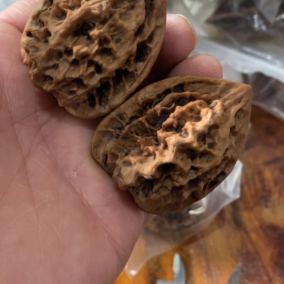 秦岭南侧和秦岭北缘