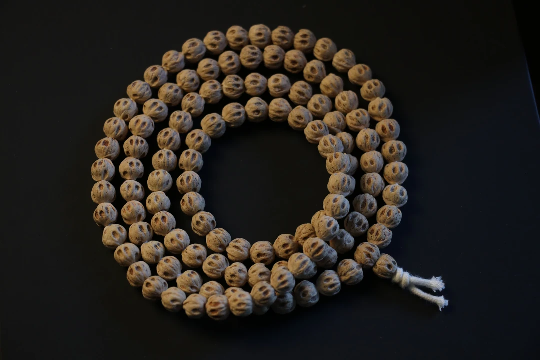 [ 幽 · 冥 ] 热振原桩对眼鬼脸尸陀林柏香籽