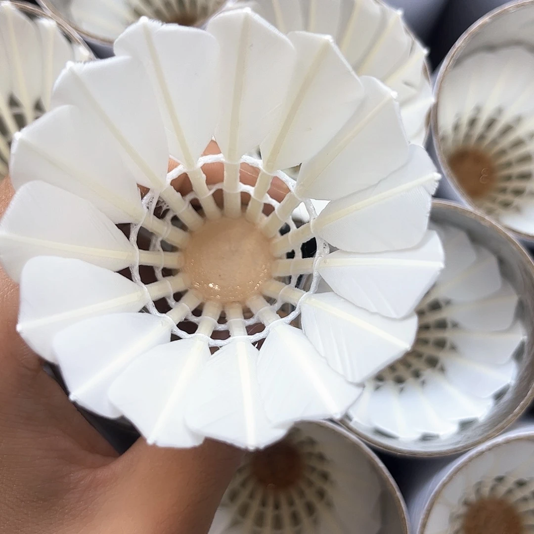 无标全圆全羽77速12只