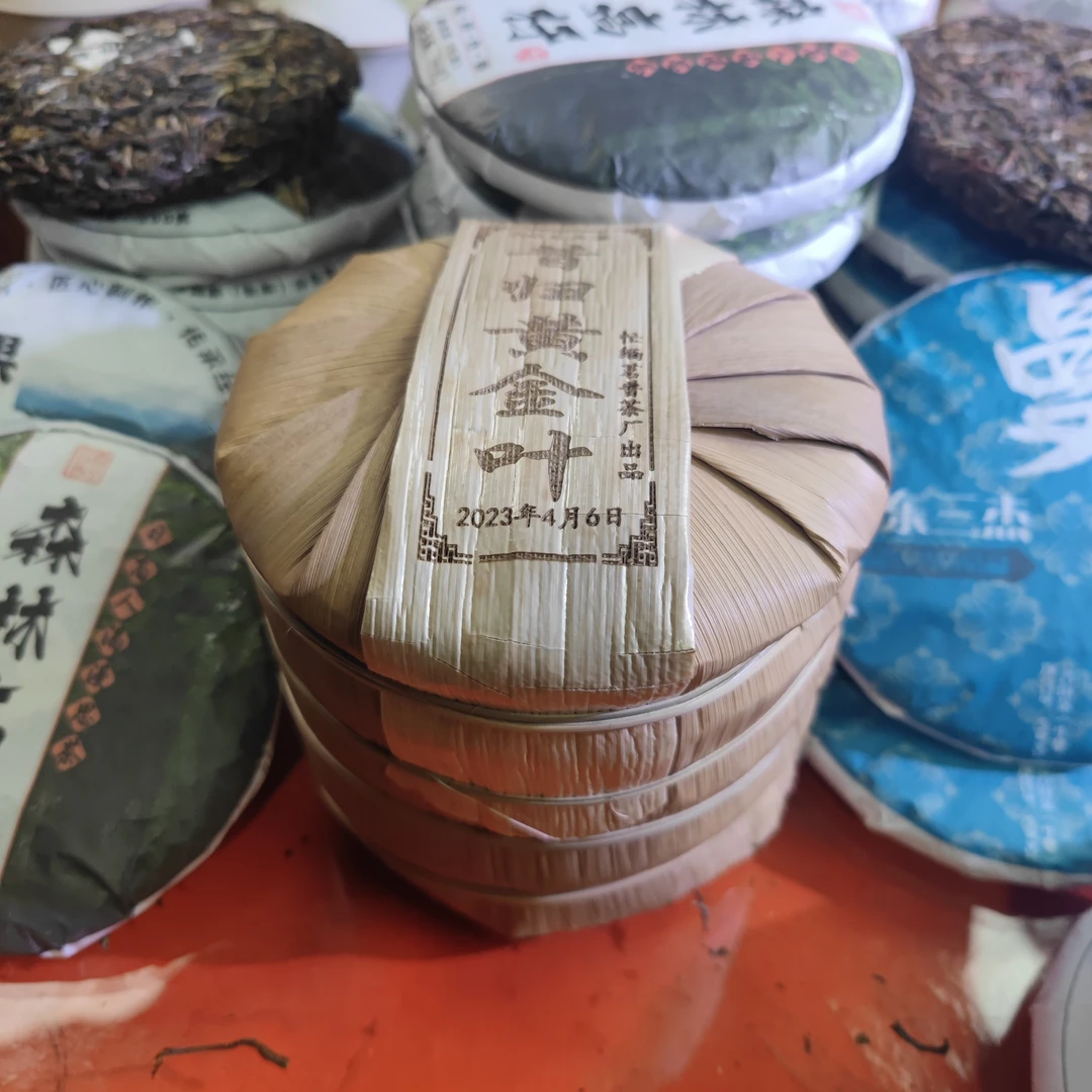 2023昔归古树黄金叶200克饼5片