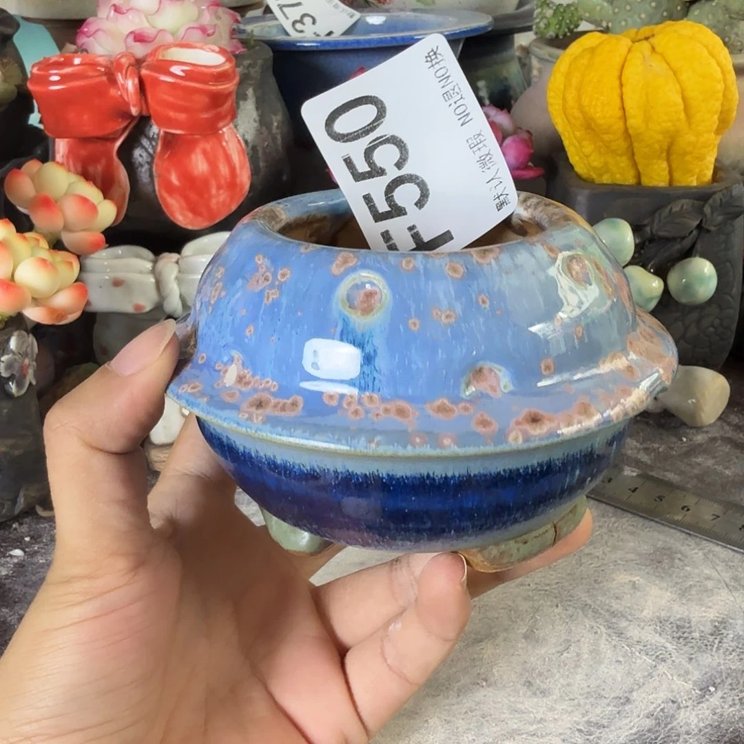 重庆小燕子欢迎大家550