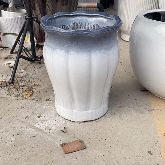 渐变灰南瓜中口25高32福利