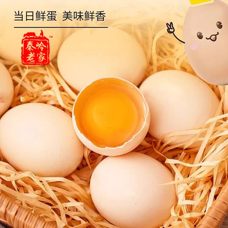 秦岭老家白壳鸡蛋 (托盘装)每托约3.7斤 6托 商南县城区配送