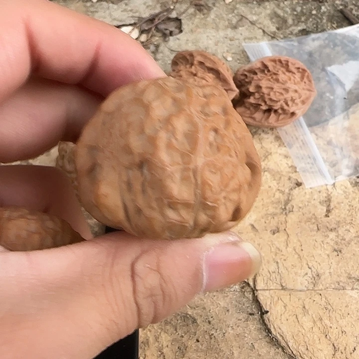郝****把件文玩核桃南瓜墩