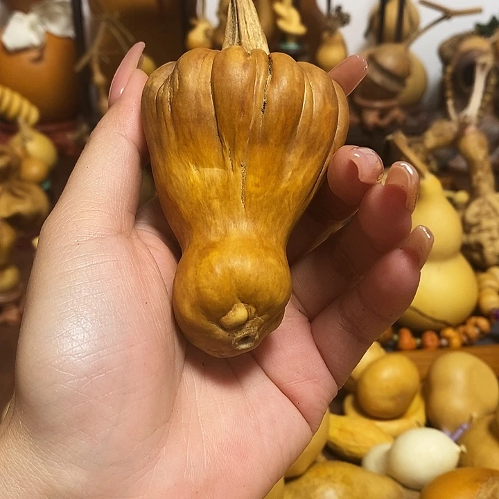 ****7葫芦岛地区有一天我在学校