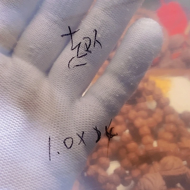 手串桃核一**人龙纹桃核