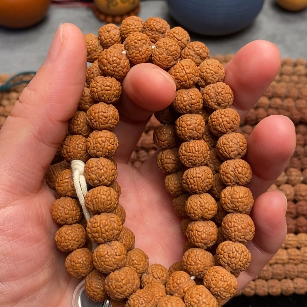 菩提*️****龙鳞小金刚