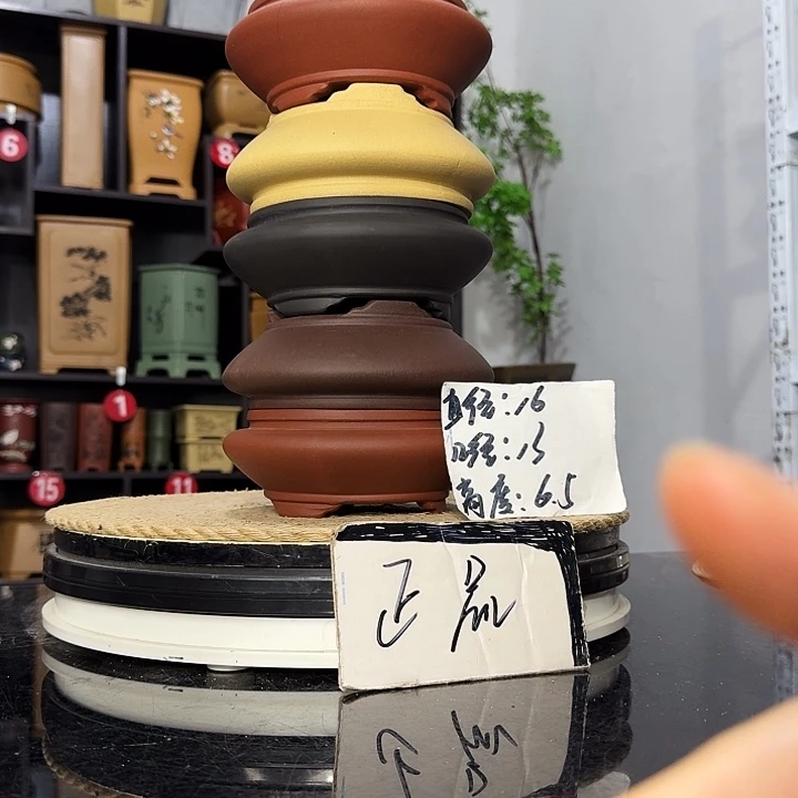 紫砂花盆盆友记紫砂花盆