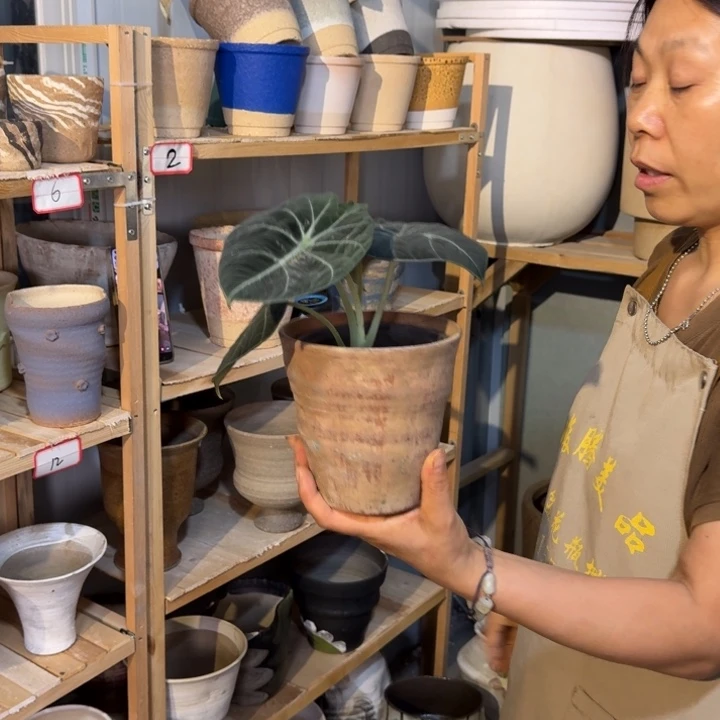 N***7景德镇桌面陶瓷花盆