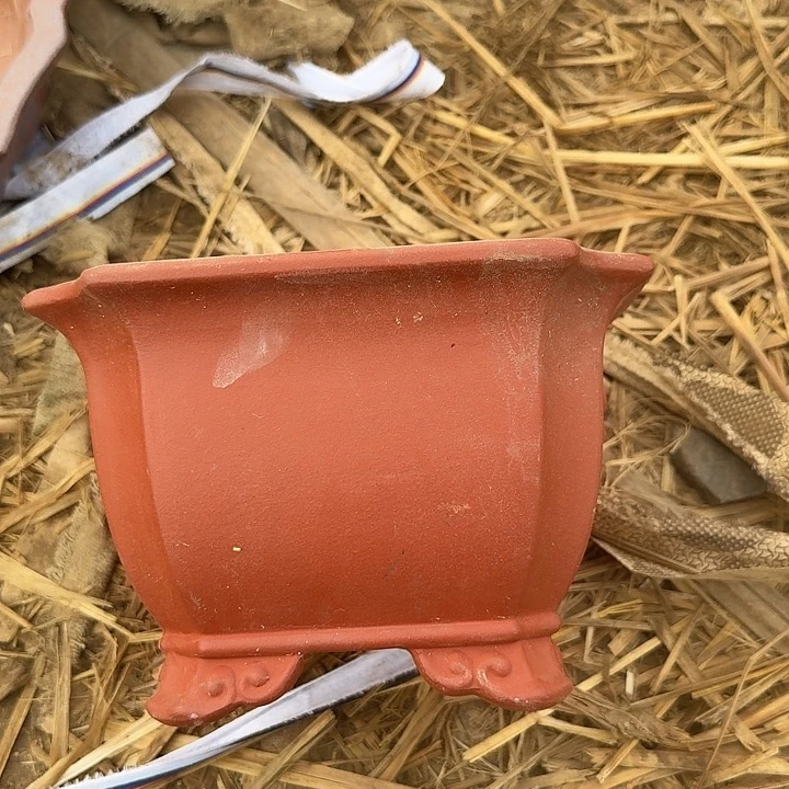 徽***术紫砂之光之也很不错了哦这个