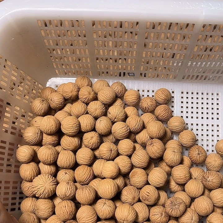 阿***幸手串猴头核桃品果王100颗