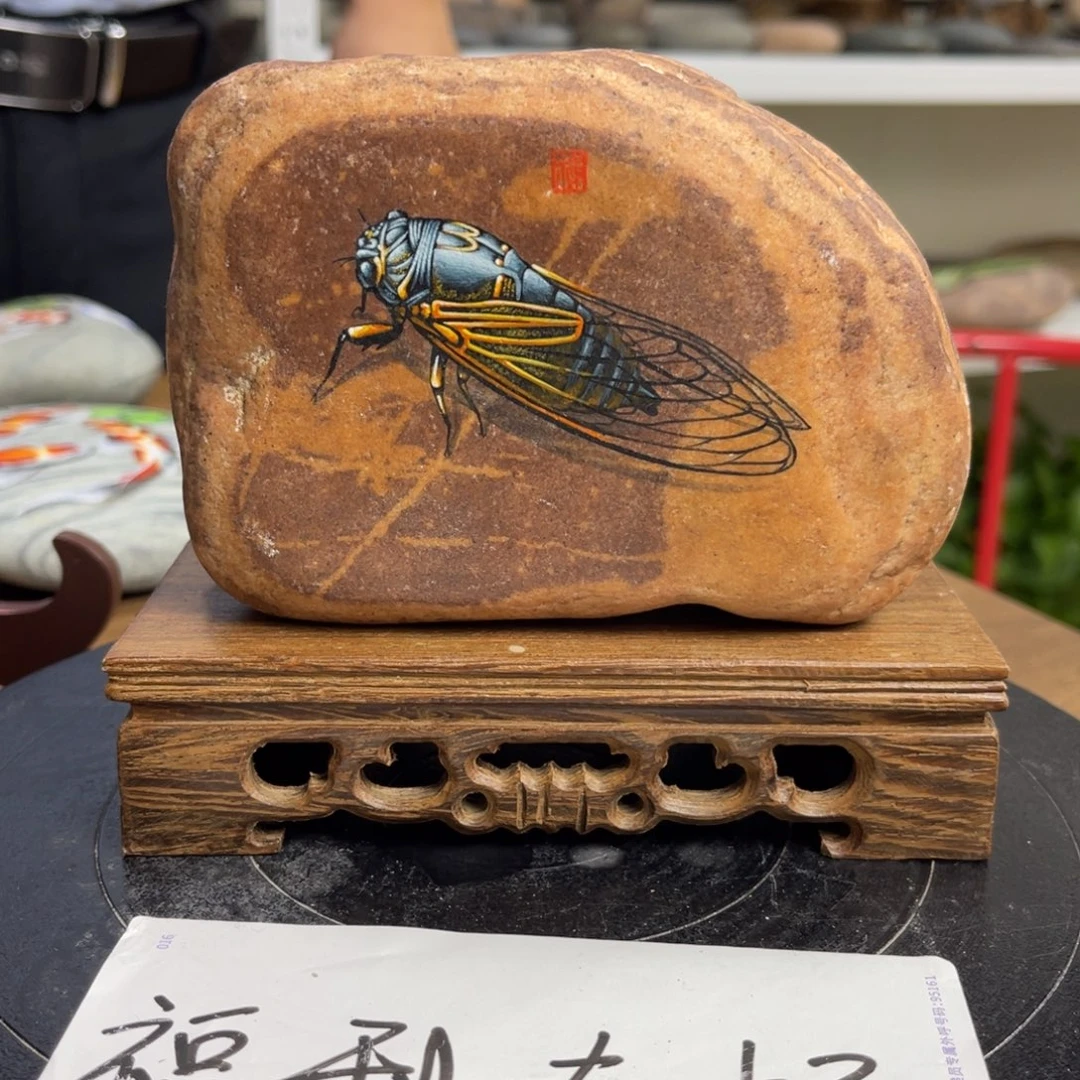 石材手绘石头画蝉