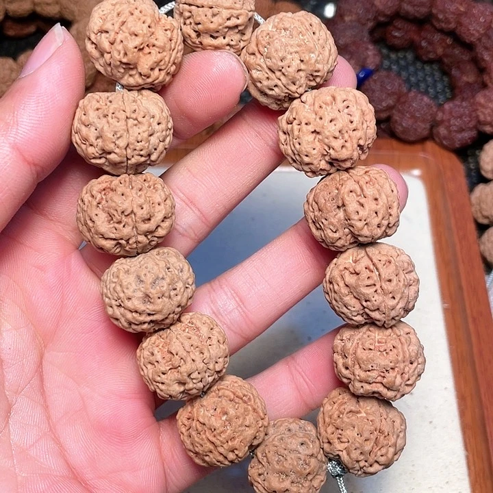 金刚菩提吊坠尼泊尔大金刚菩提