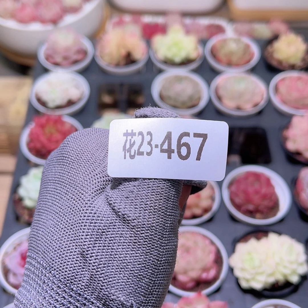 花23-467保温箱一个
