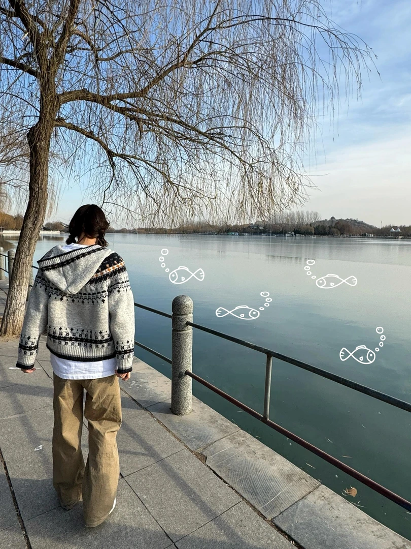 巴恩风复古提花费尔岛毛衣外套女秋冬连帽慵懒高级感针织上衣开衫