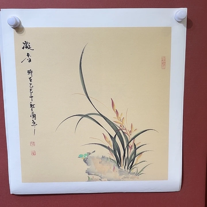国画听兰老师花鸟