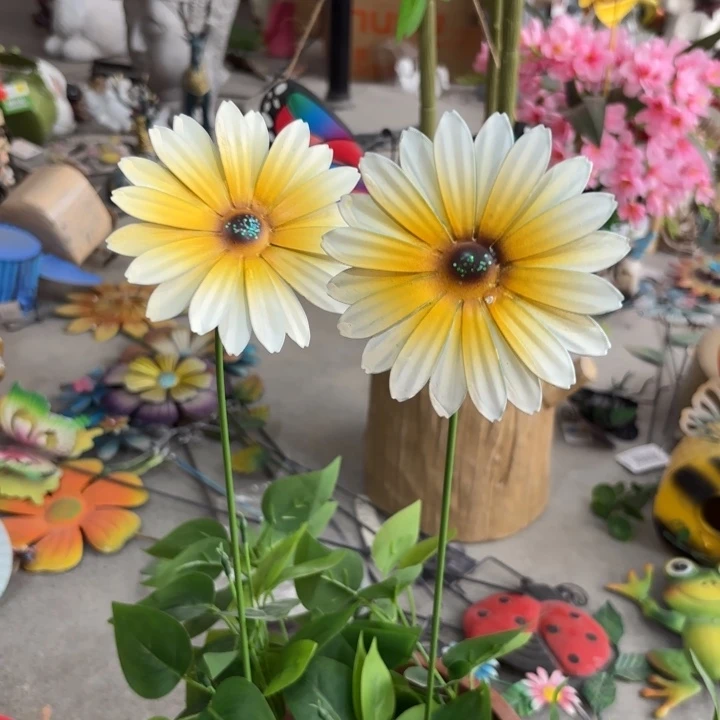 摆件样品样品样品菊花