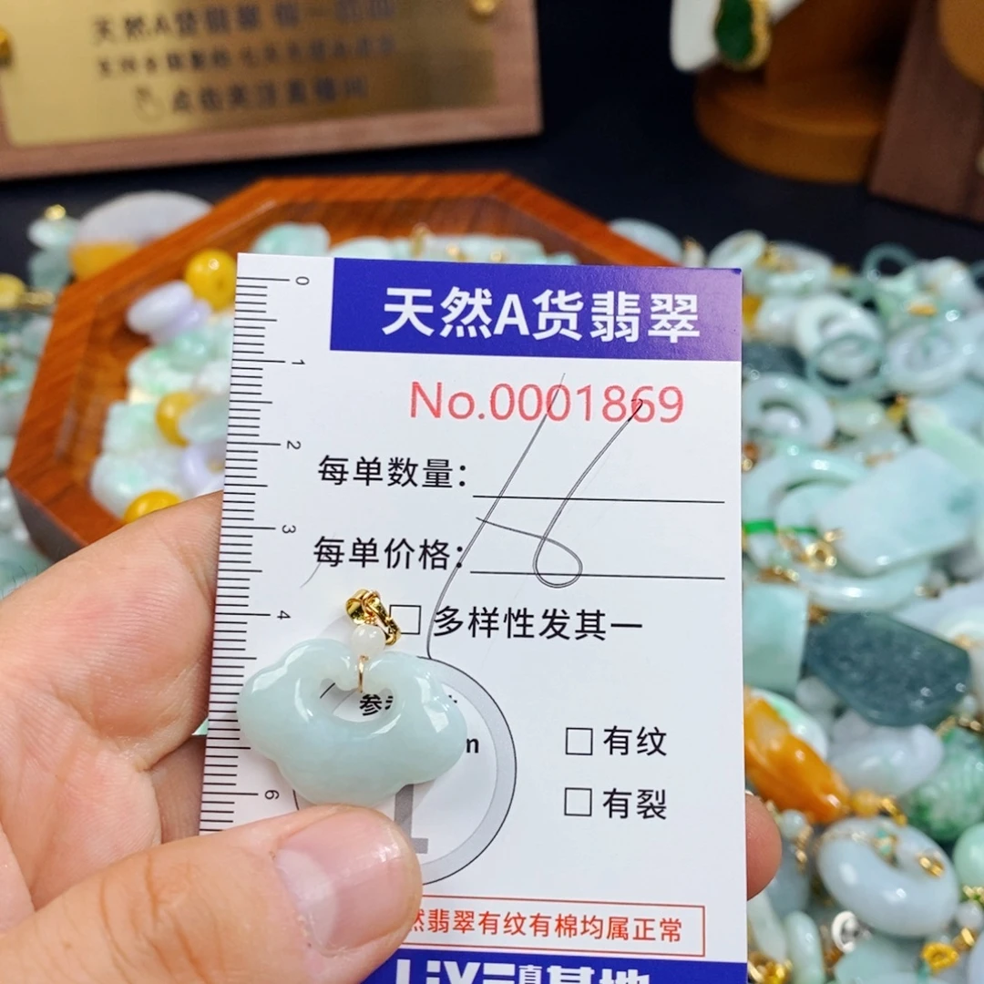 颈饰未镶嵌翡翠1869