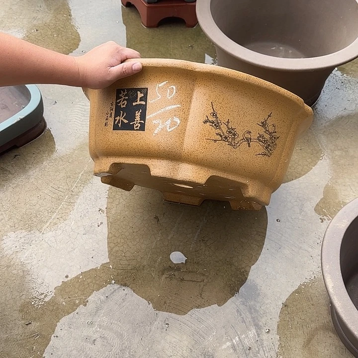 紫砂花盆这是我第一