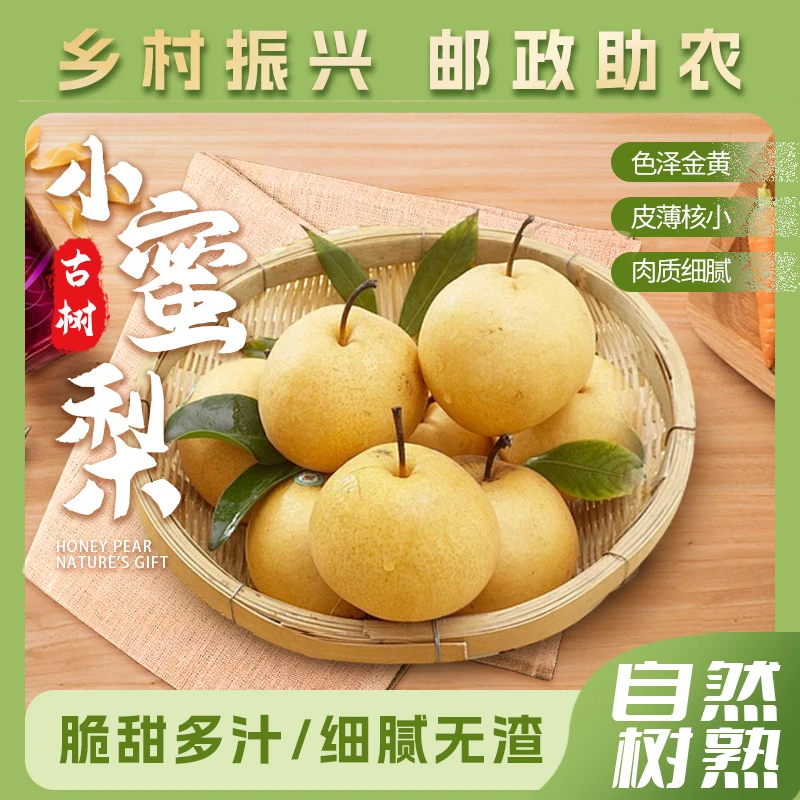 【河北邮政甄选】古树蜜梨特产酥脆甜梨子新鲜水果贡梨整箱雪梨