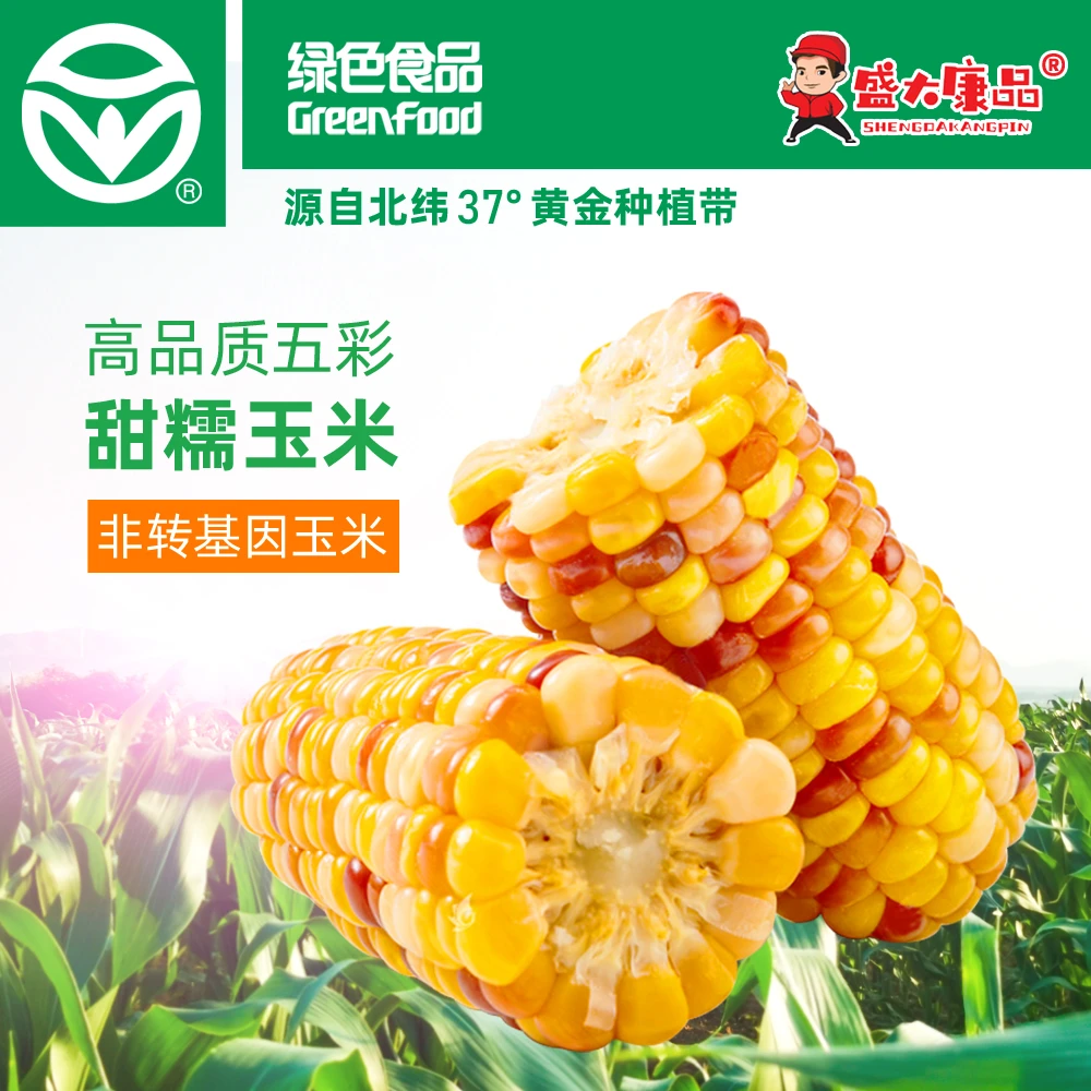 高品质五彩甜糯玉米非转基因绿色认证食品纯天然香糯加热即食