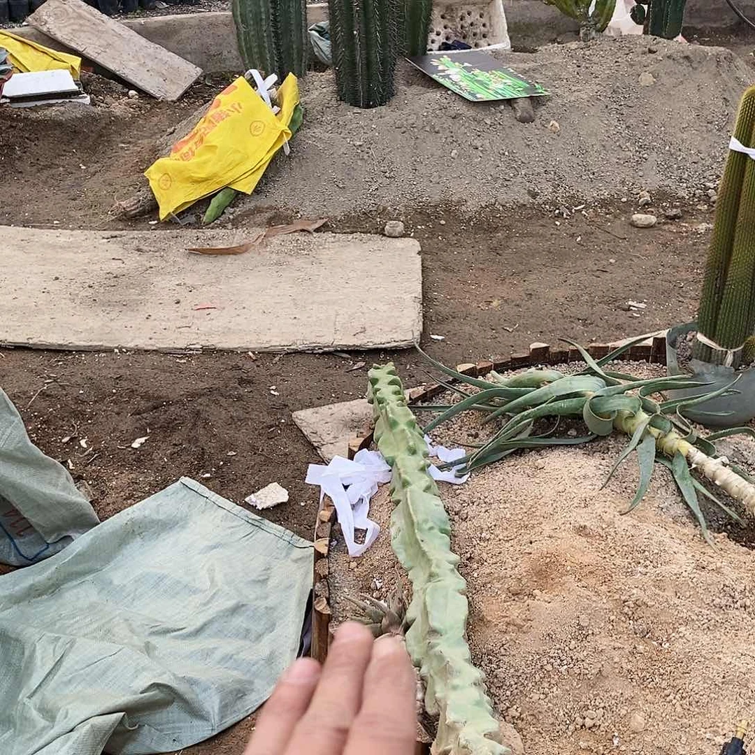 矿***安10号拍品。