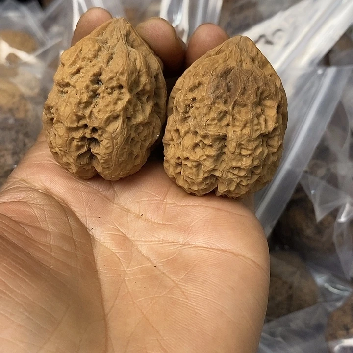 核桃云南铁核桃基地27