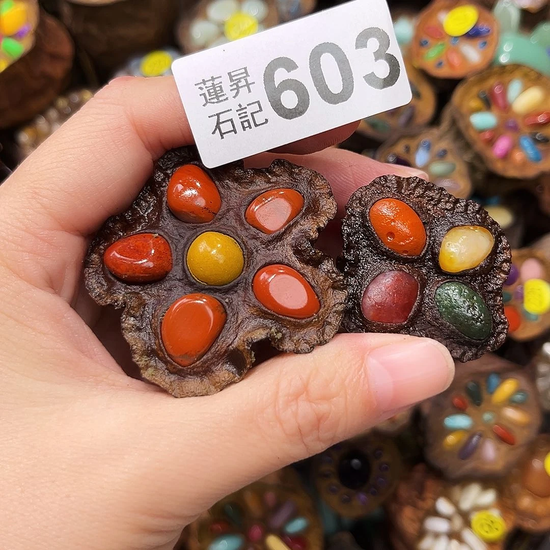 莞***然核桃木/黑胡桃（胡桃木）603
