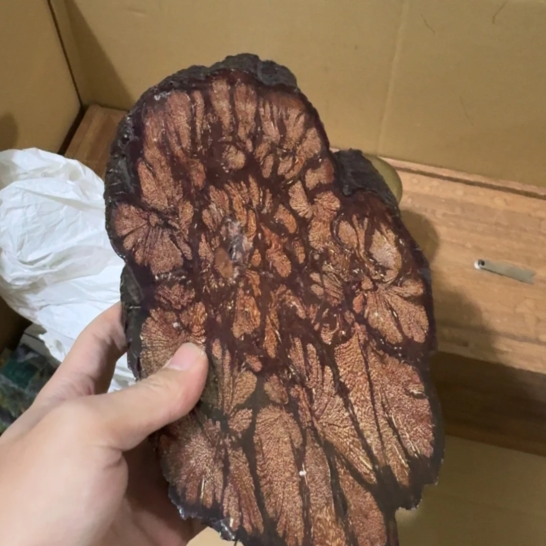 茶盏陶瓷陶瓷技术