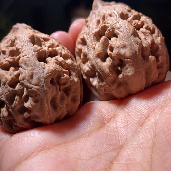 把件文玩核桃东北楸子 140